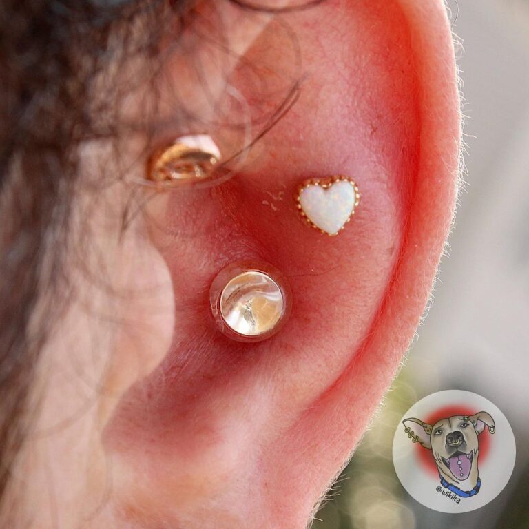 WIKILEA, USA. wikilea conch